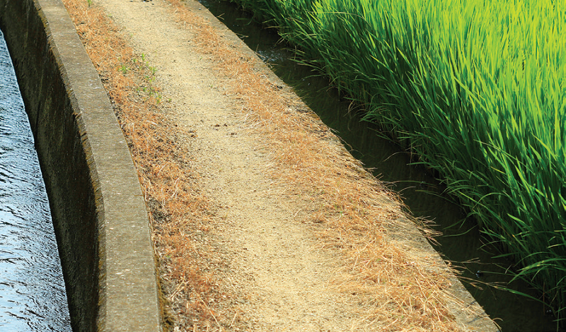 21c6bed4da5be10732d07a2018acbb80_1529892789_482.png 21c6bed4da5be10732d07a2018acbb80_1529892789_482.png