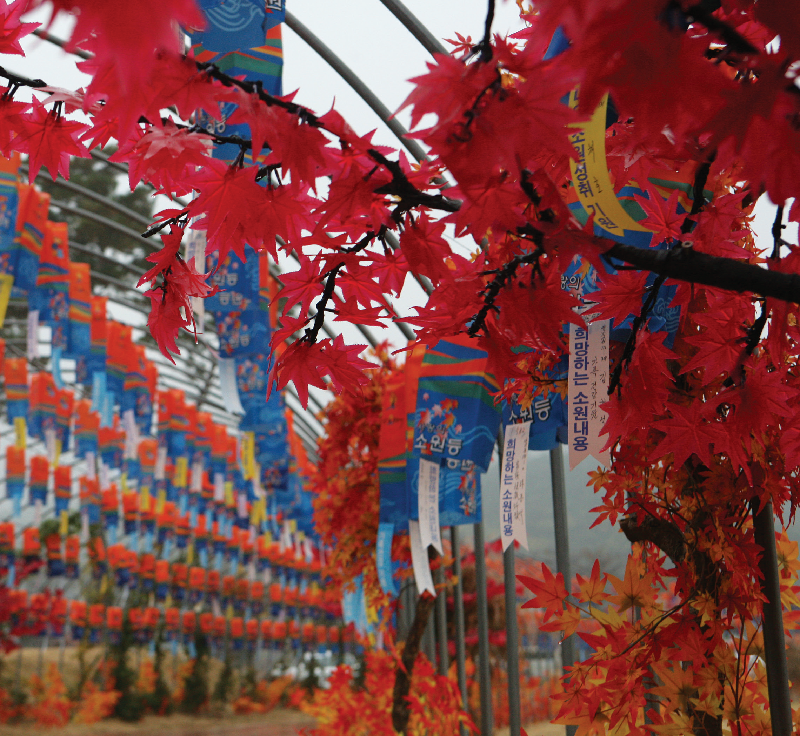 e1b6ad1a955b943ec2430b2bd8b1e5ae_1529470241_9304.png e1b6ad1a955b943ec2430b2bd8b1e5ae_1529470241_9304.png