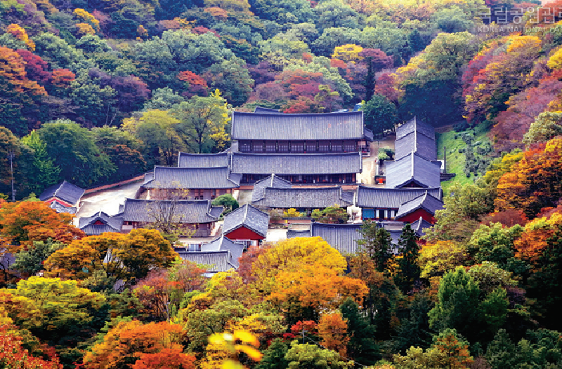 e1b6ad1a955b943ec2430b2bd8b1e5ae_1529470252_5406.png e1b6ad1a955b943ec2430b2bd8b1e5ae_1529470252_5406.png