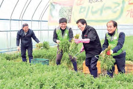 문경새재 미나리.jpg